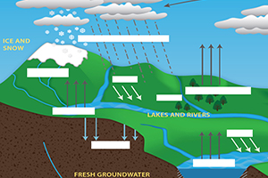 Water Cycle